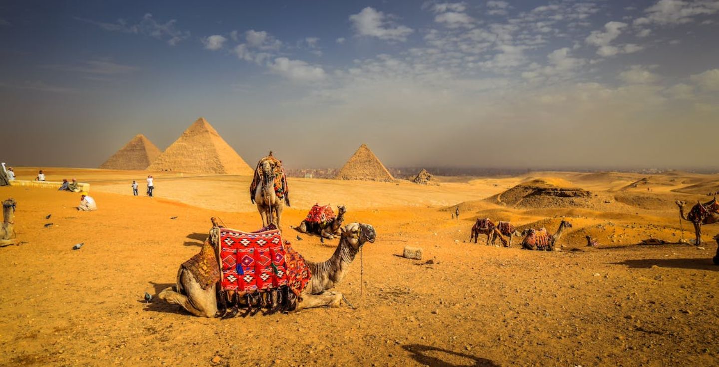 Use cell phone in Egypt: How to do it? - Holafly