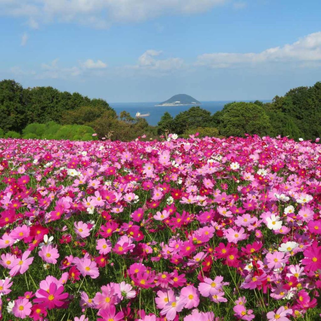 福冈旅游攻略：能古岛