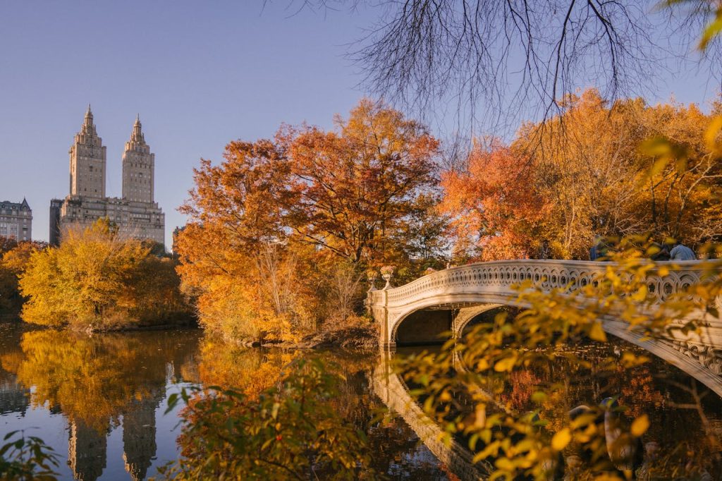 Eine Brücke über den See im Central Park in New York mit Bäumen, die orangefarbene Blätter haben.