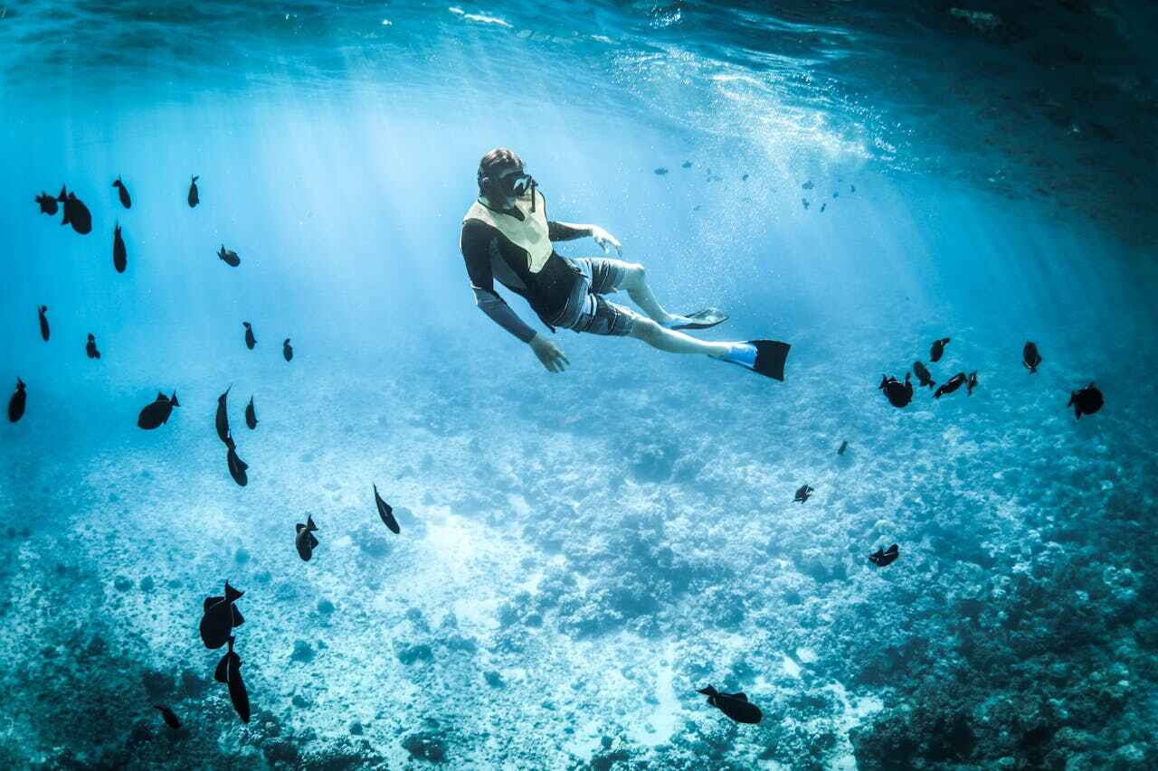 Foto einer Person beim Schnorcheln, umgeben von kleinen Fischen