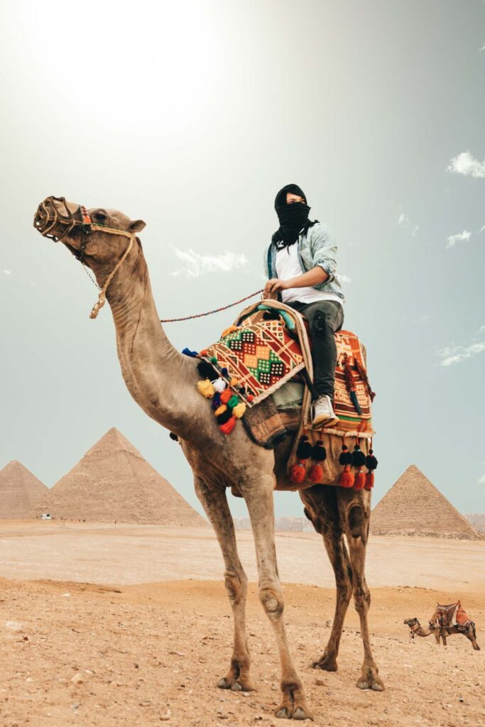 esimpara Egipto, camello, turista, viajero, sim card, internet, datos
