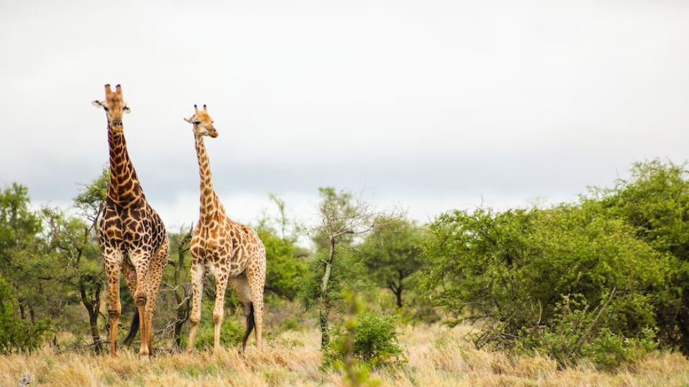 Lugares imperdibles que visitar en abril 2023 en África