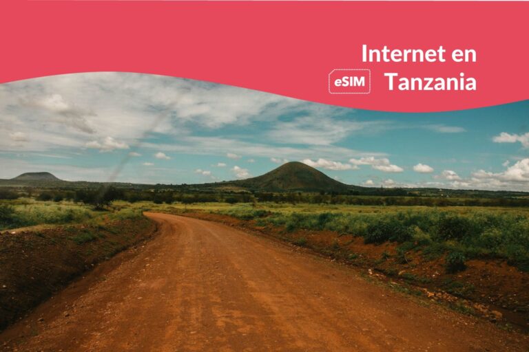 Internet en Tanzania