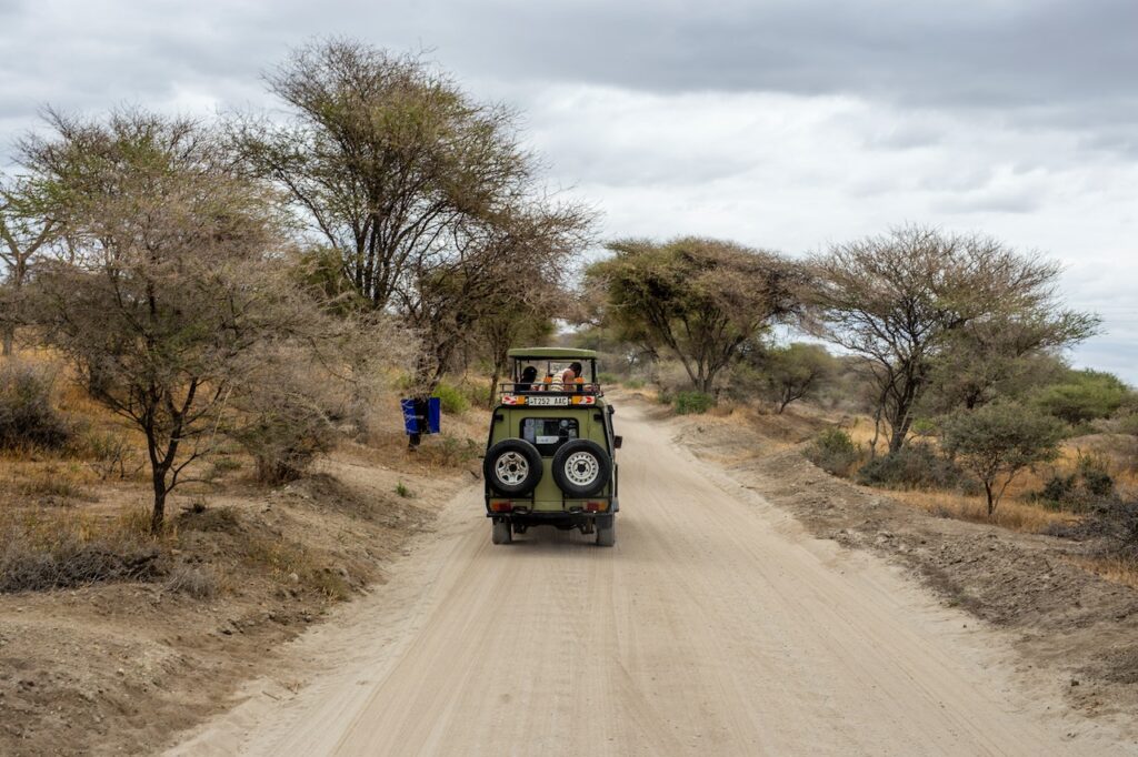 Safari en tanzania