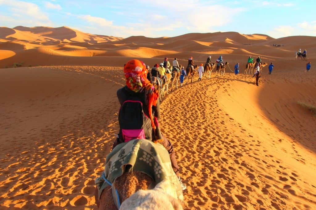 Caravana de camellos en Merzouga, Marruecos