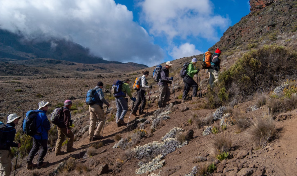 Escalar Kilimanjaro