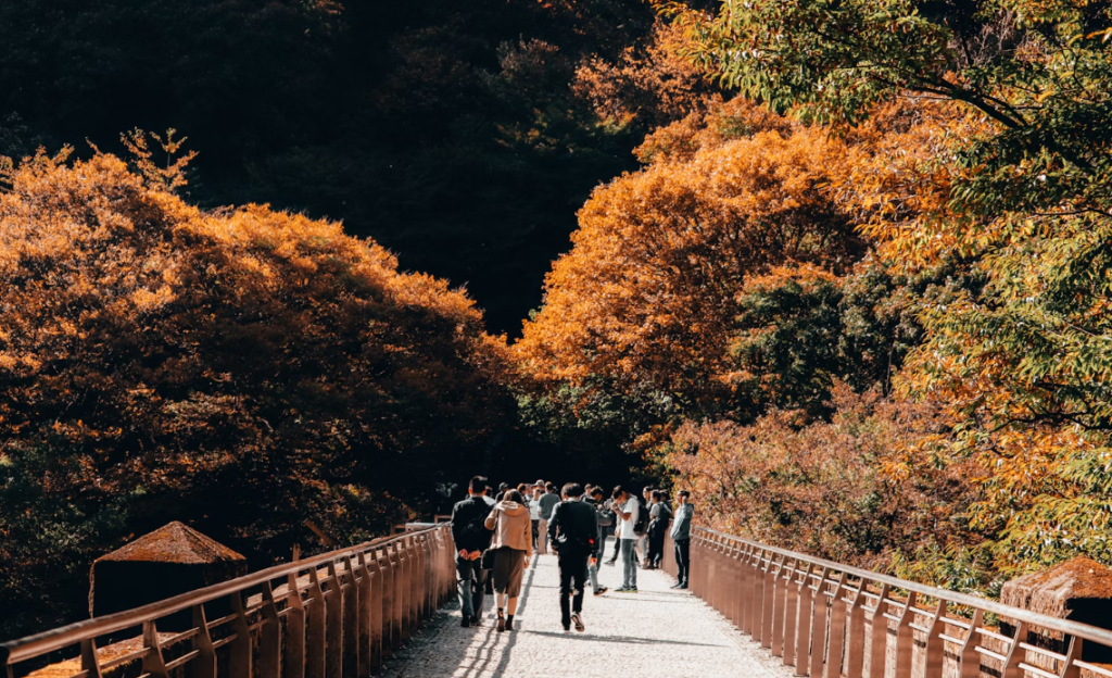 Viajar en otoño a Japón