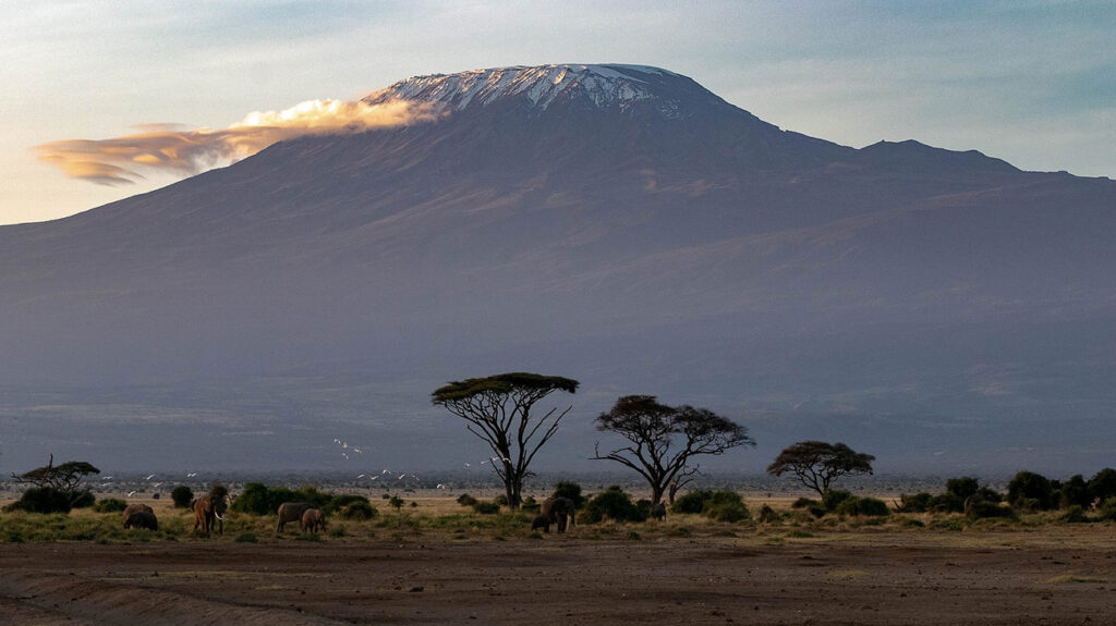 Safari en Tanzania