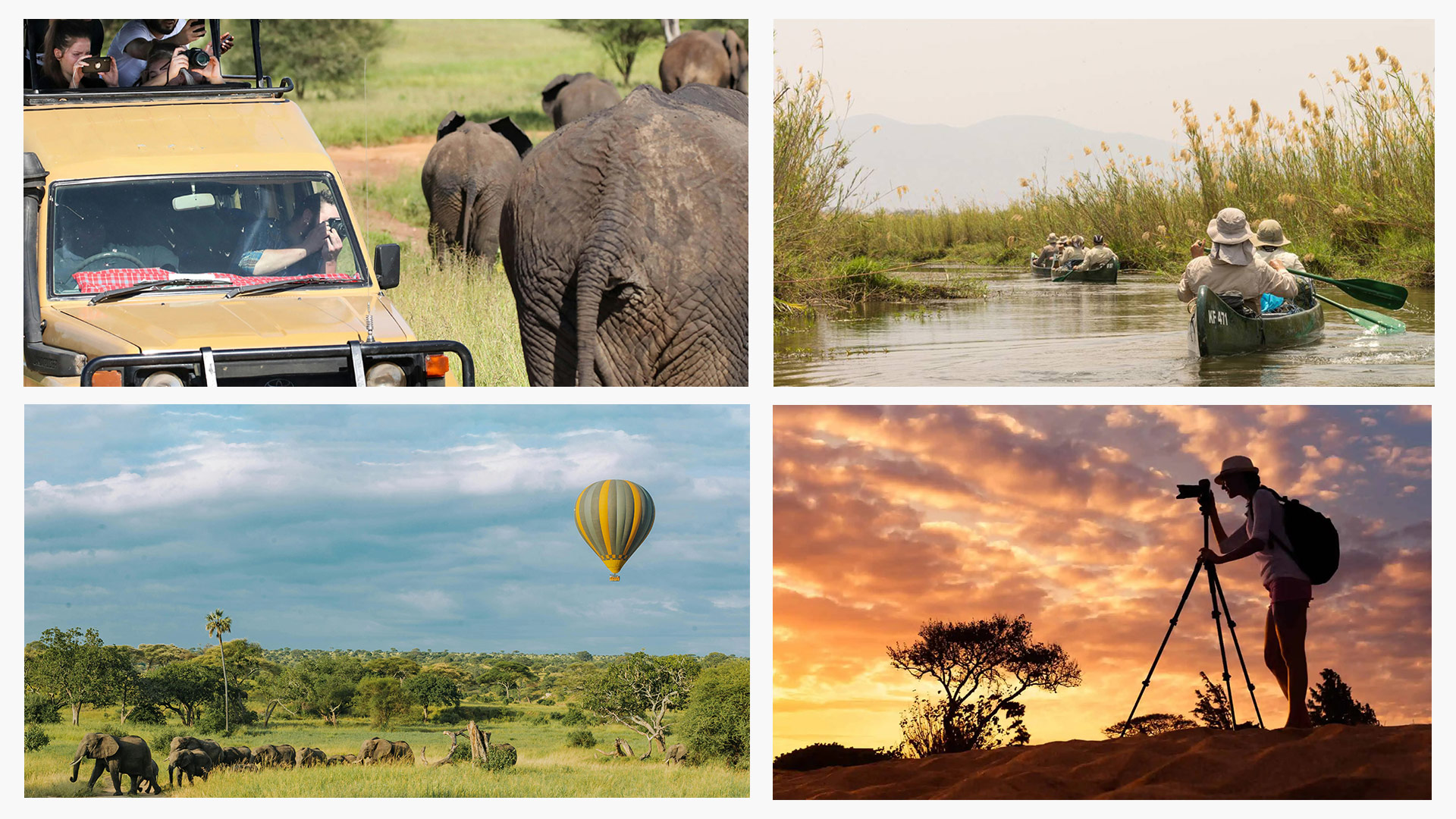 Mejores Safari En África 10 Destinos Para Viajar En Vacaciones Holafly