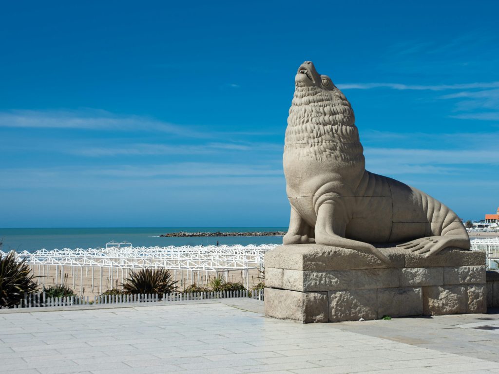 lobo marino en mar del plata, destino para nómada digital argentina