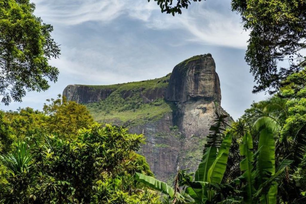 Parque Nacional de Tijuca en Río de Janeiro