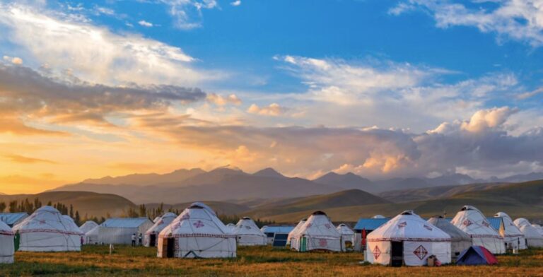 carte-SIM-Mongolie
