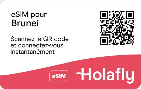 esim brunei prépayée internet holafly