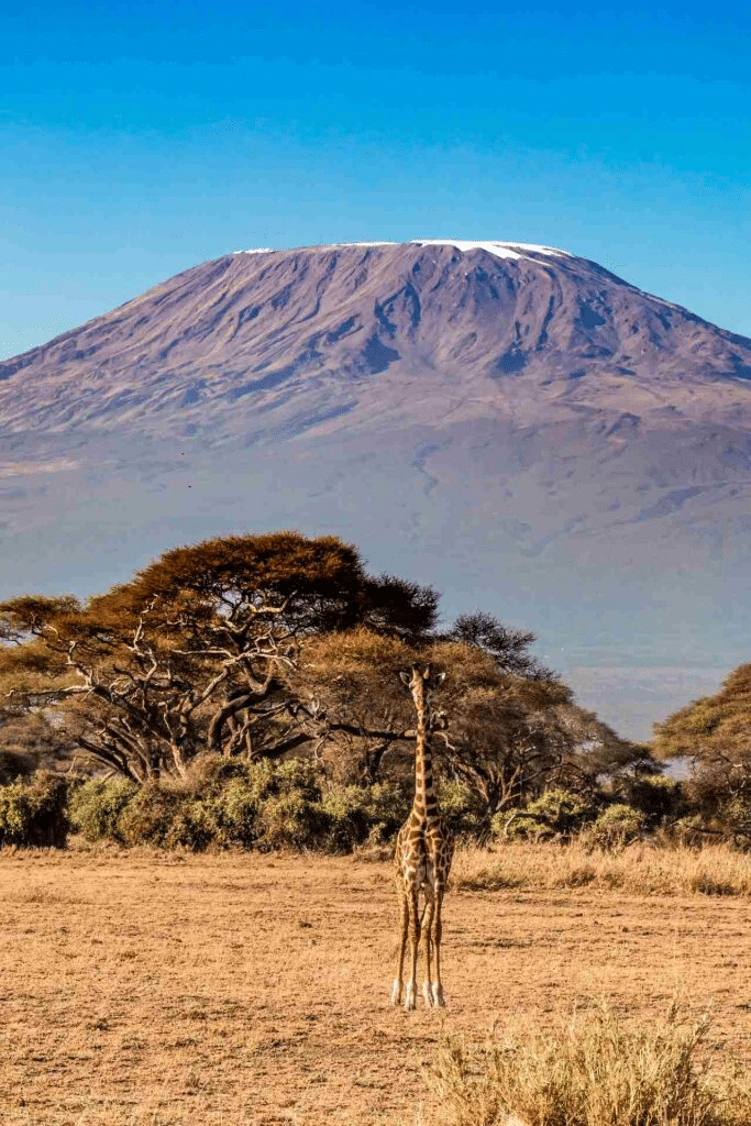 Kenya sim 