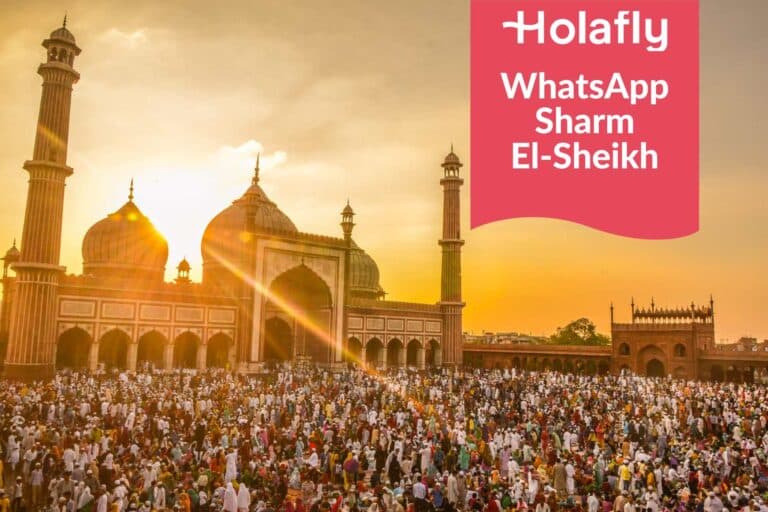 whatsapp funziona a sharm el sheikh, internet sharm el sheikh, esim sharm el sheikh, scheda sim sharm el sheikh