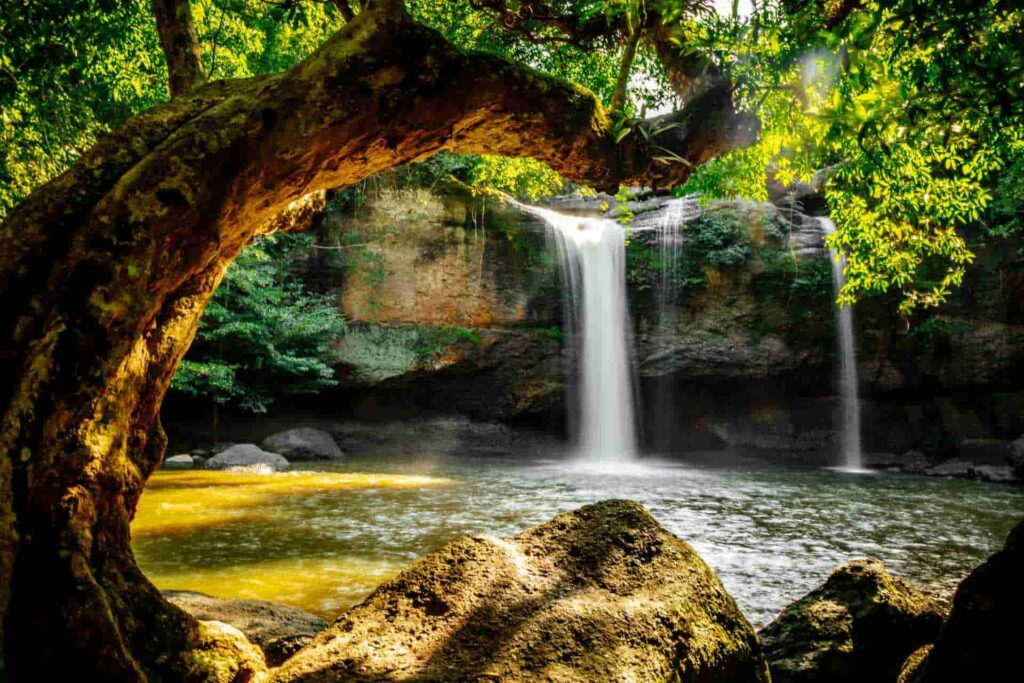 Cascata e natura nel Parco nazionale di Khao Yai