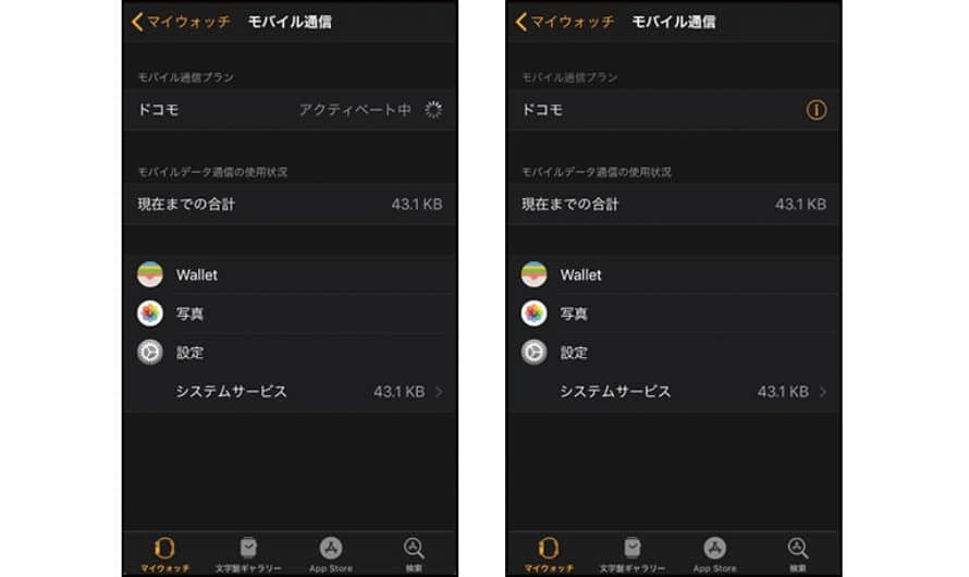 NTT Docomo Apple Watch eSIM 申し込み Holafly