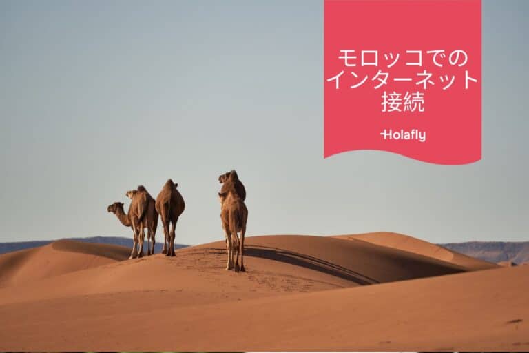モロッコ インターネット 接続 Holafly eSIM オンラインショップ