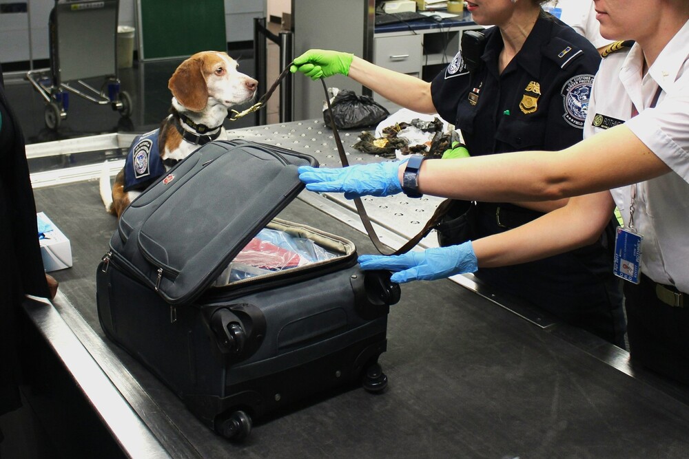 空港での荷物検査