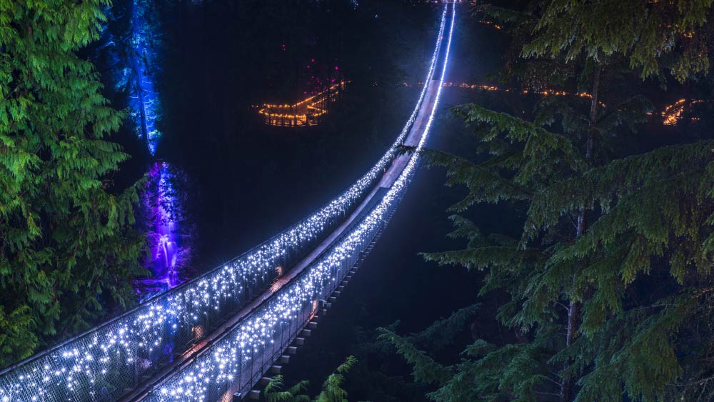 夜にライトアップされたキャピラノ吊り橋、周囲の森が幻想的な光に包まれた美しい光景