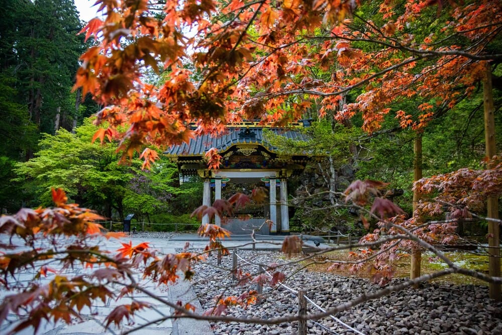 닛코 지역 가을 단풍