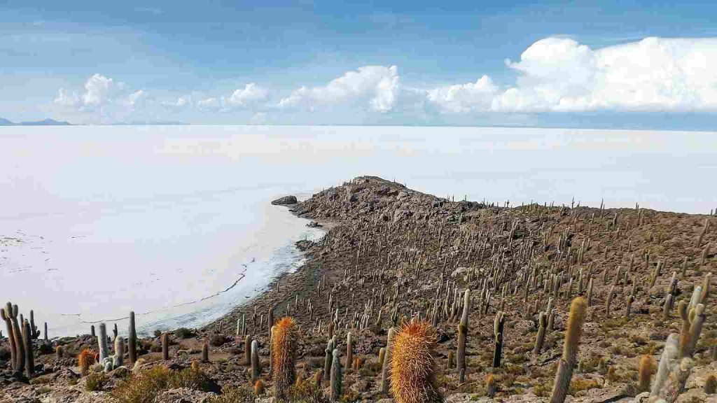 A vista da Isla Incahuasi, no Salar de Uyuni.