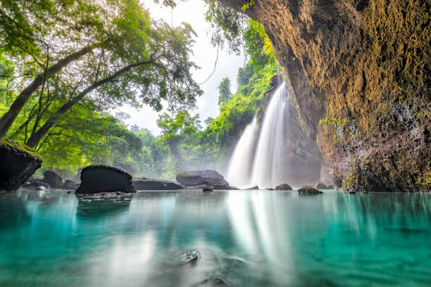 Parque Nacional Khao Yai na Tailândia.