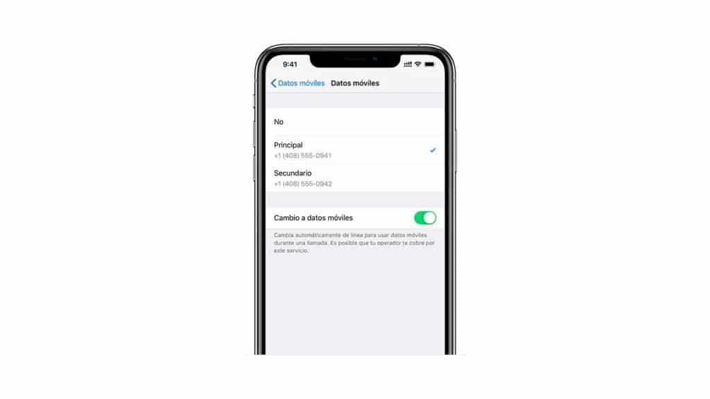 iphone dual sim screen