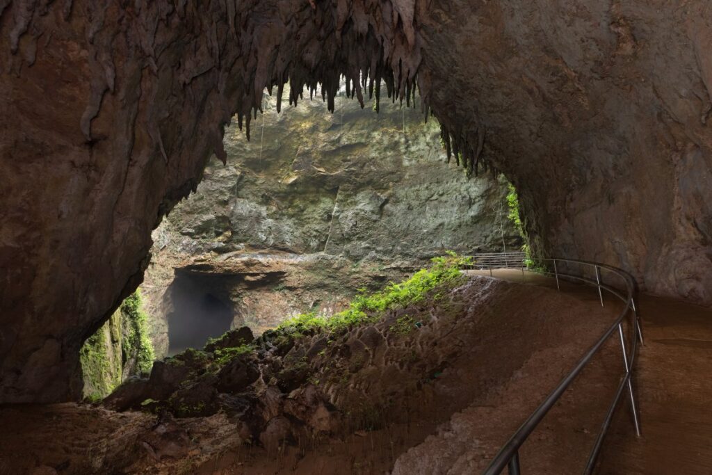camuy caves things to do puerto rico