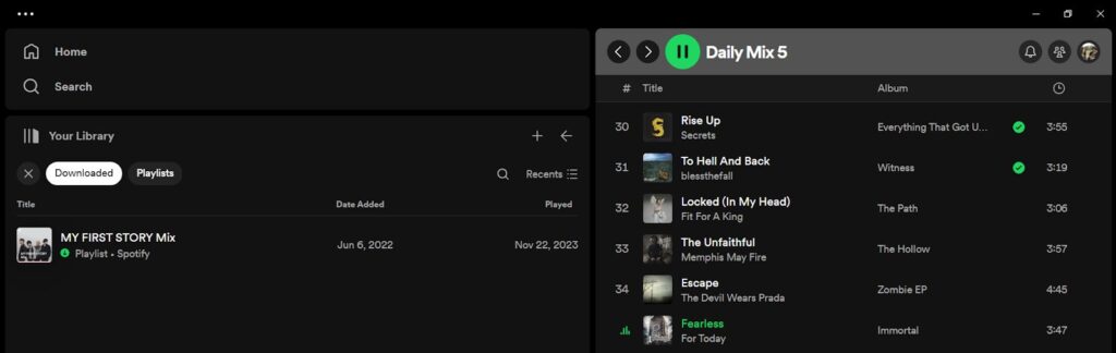 Spotify downloaded playlists