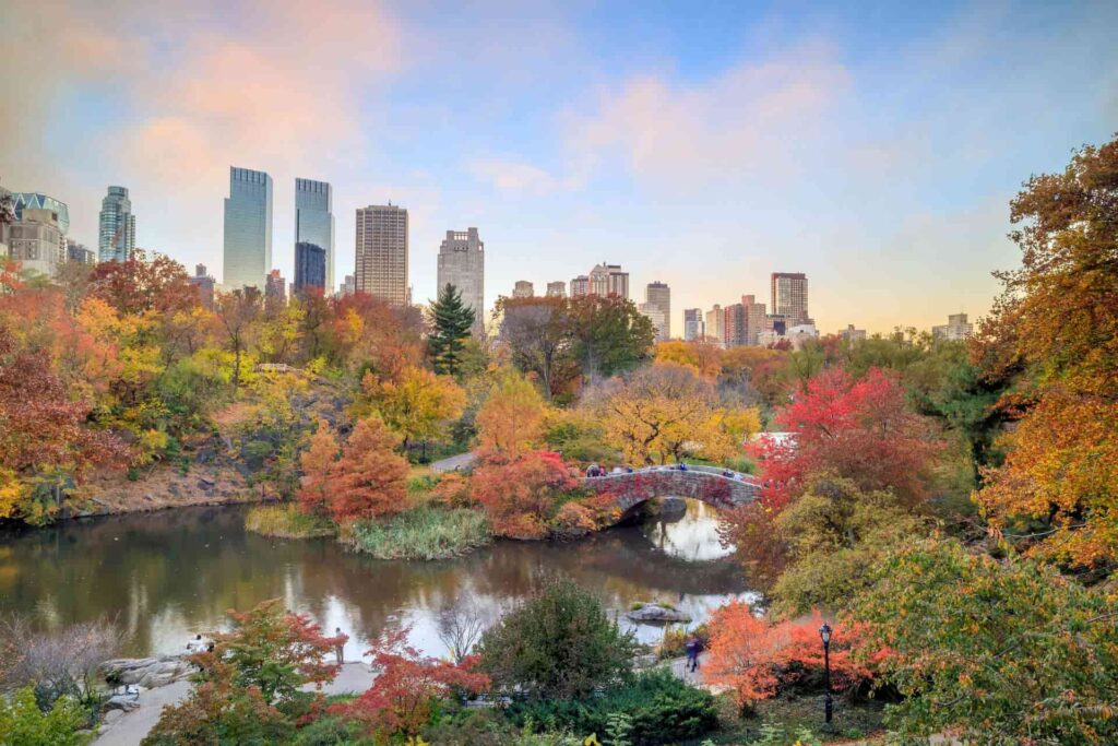 central park in fall