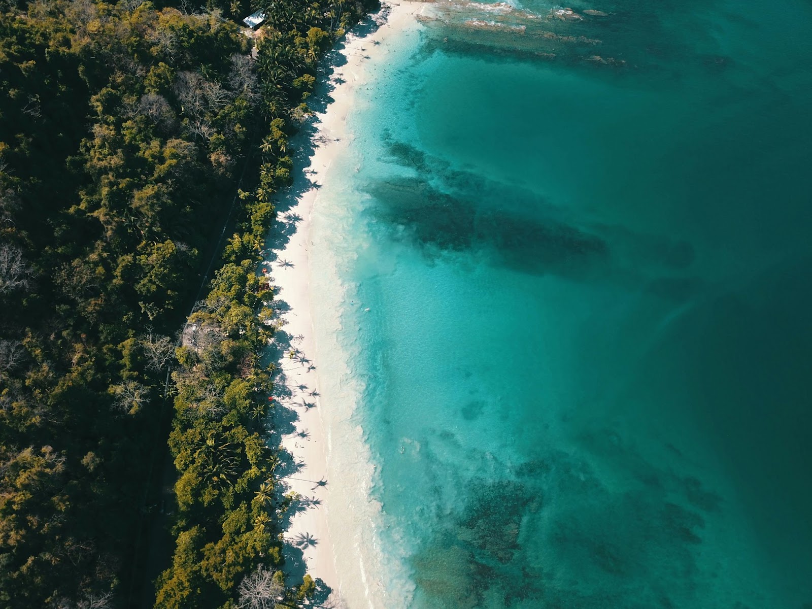 Aerial view of a white sand beach in Costa Rica