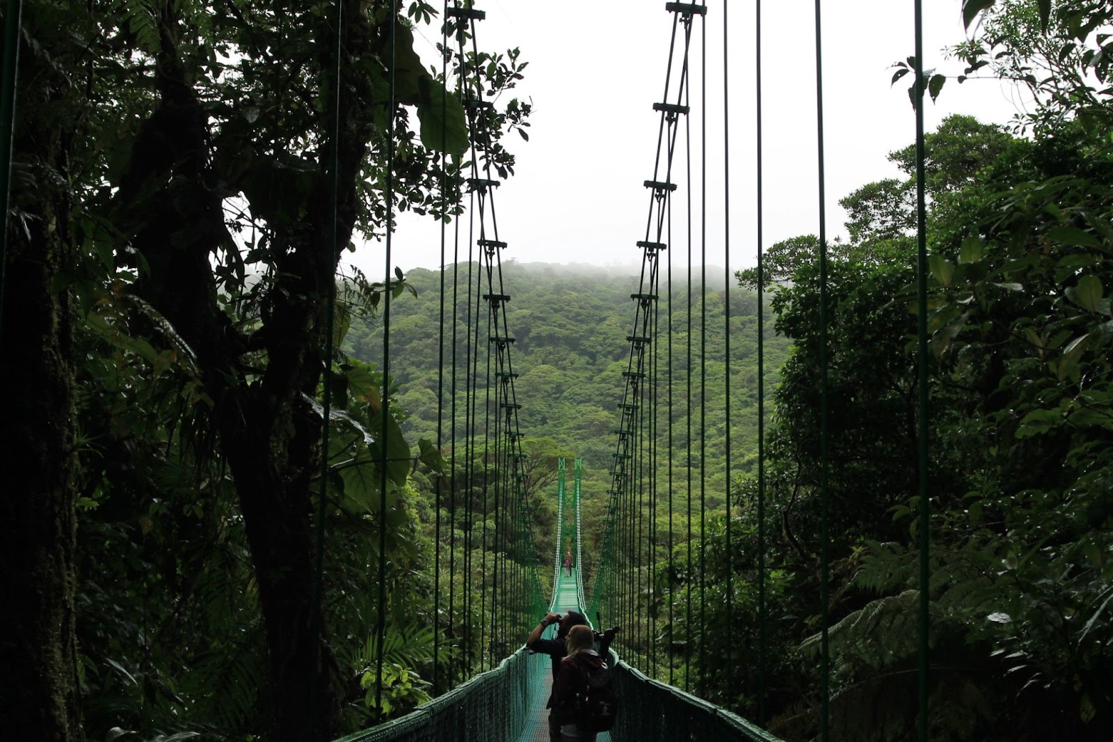 A suspended bridge crossing through the rainforest in Costa Rica