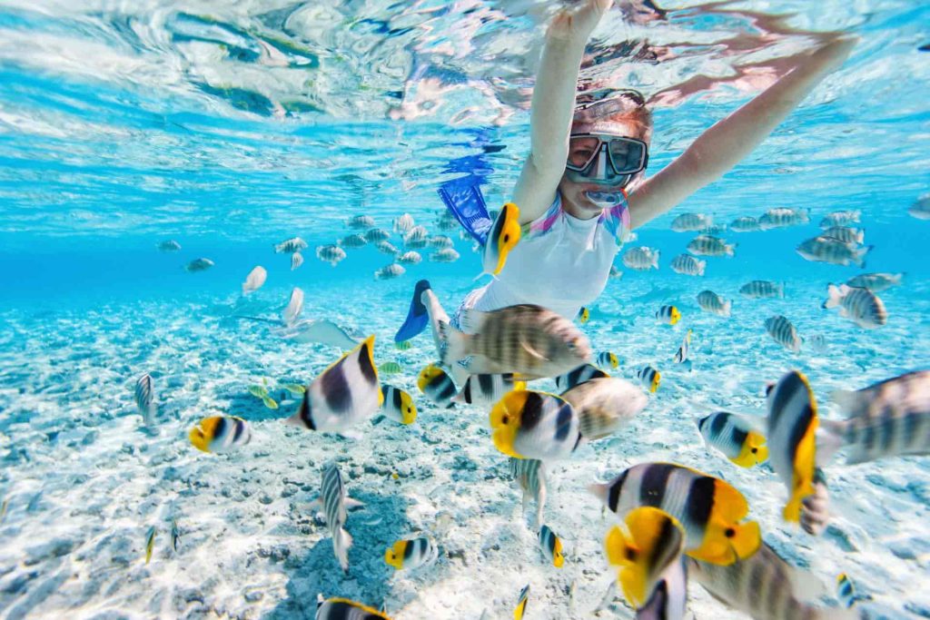 snorkeling in the red sea