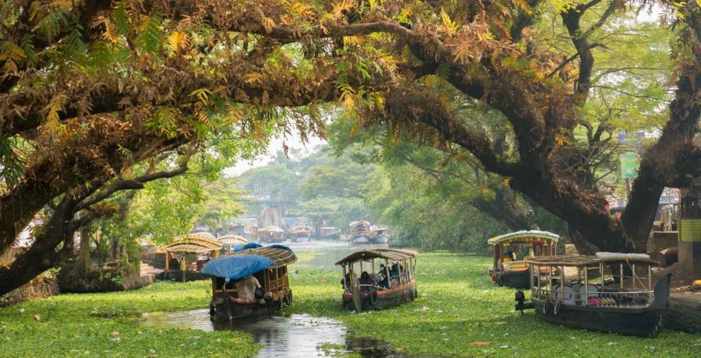 Houseboats on the backwaters of Kerala
