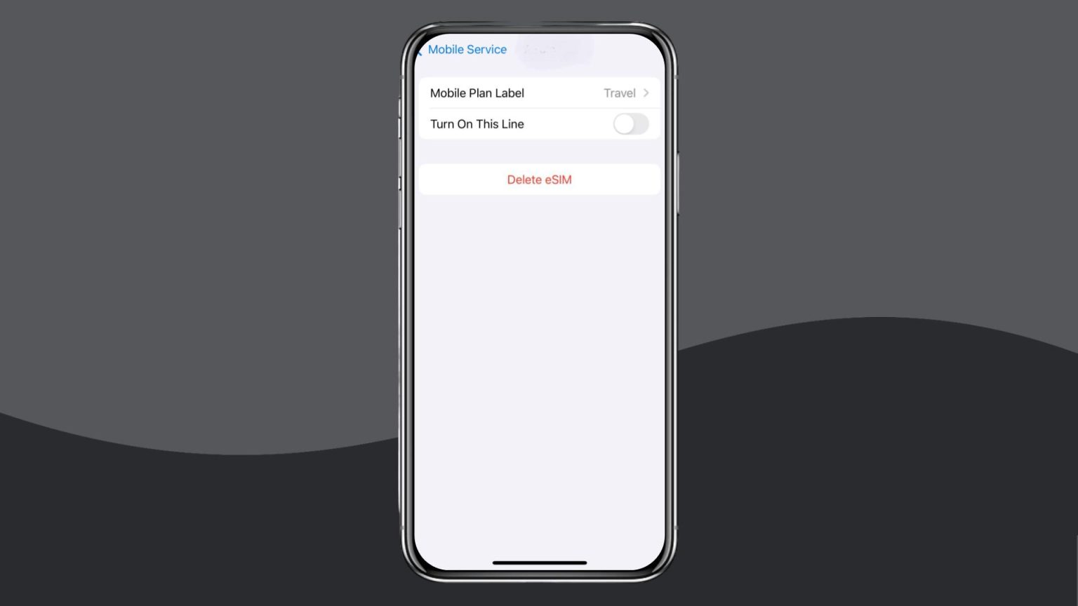 Mint Mobile eSIM not working Possible causes and fixes Holafly