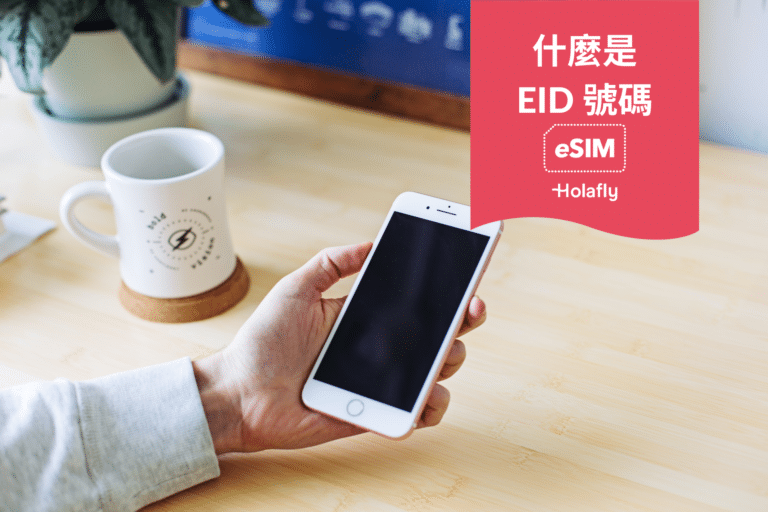 What is EID 什麼是 EID 號碼