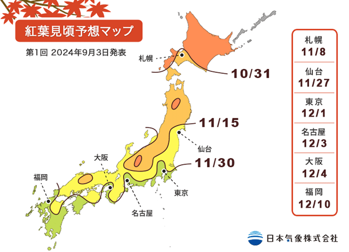 2024 日本楓葉預測