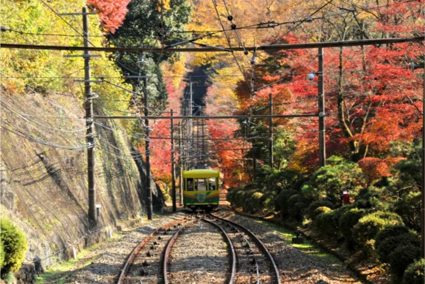 東京賞楓景點 #3｜高尾山