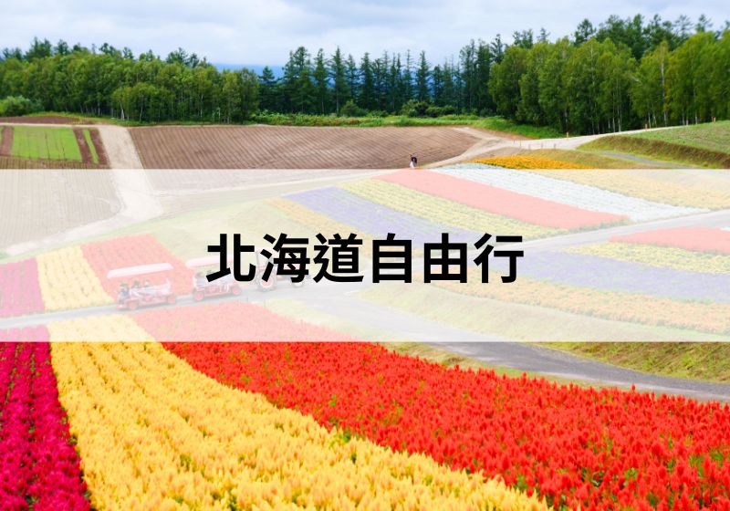 北海道自由行