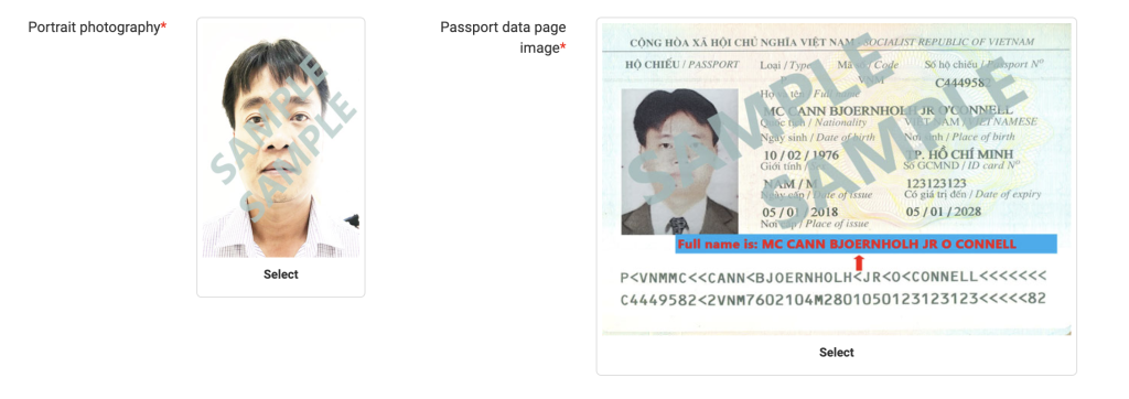 越南電子簽證照片要求
